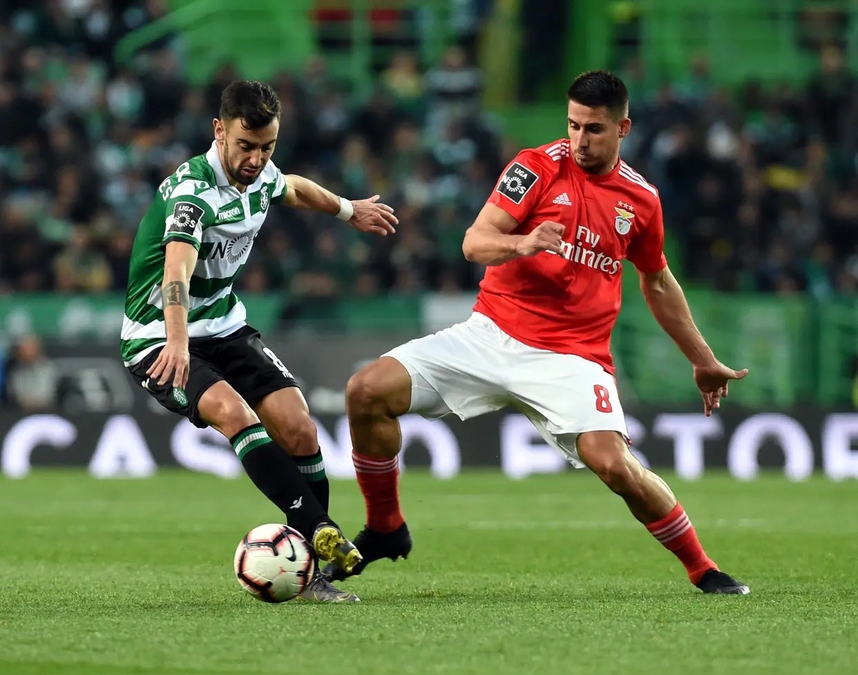 英雄联盟平台 - u19欧青赛葡萄牙对荷兰 