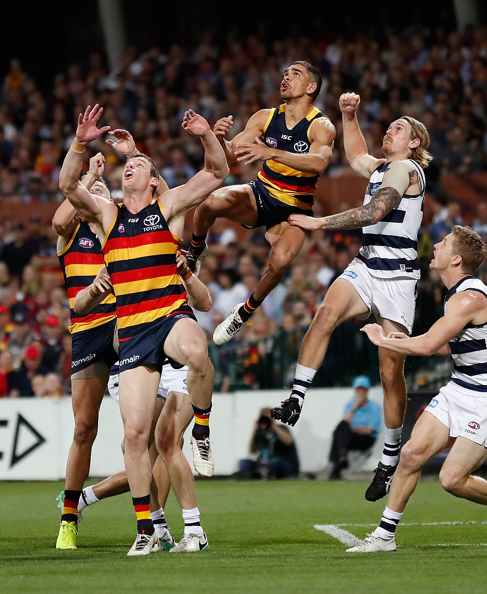 波尔图训练开放日，冲刺阶段刷新队史纪录引欢呼，德甲在即，轮换策略成焦点(沙尔克04是豪门吗)